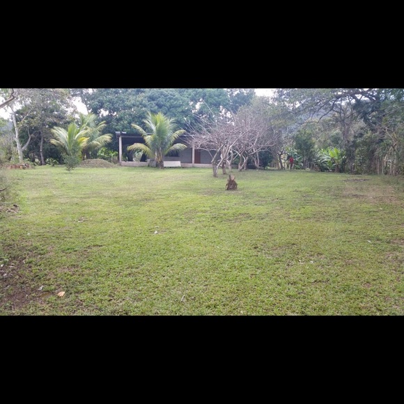 Meet your Posher, Claudia - Picture 1 of 1